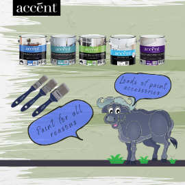 ACCENT PAINT
