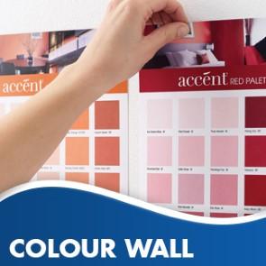 Paint